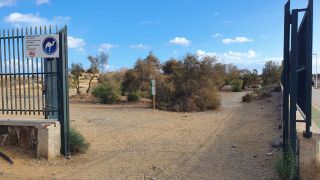 2023-GC--Mapalomas dunas-S123-002.jpg